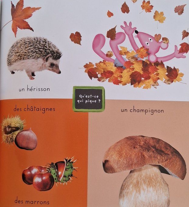 L'imagerie photos des saisons