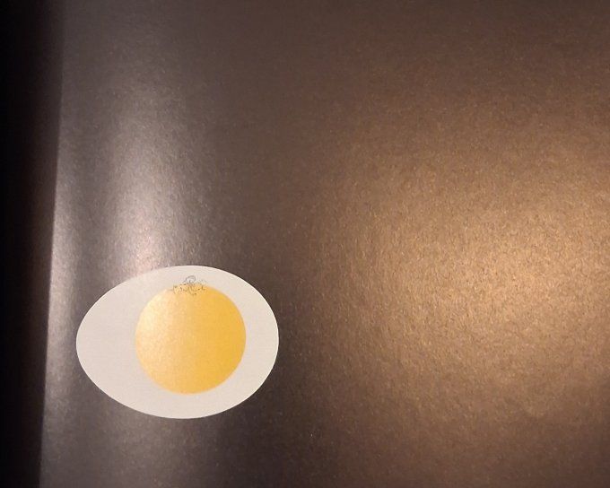 L'œuf et la poule