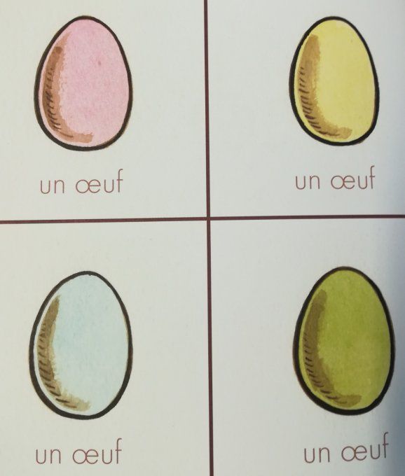 L'oeuf