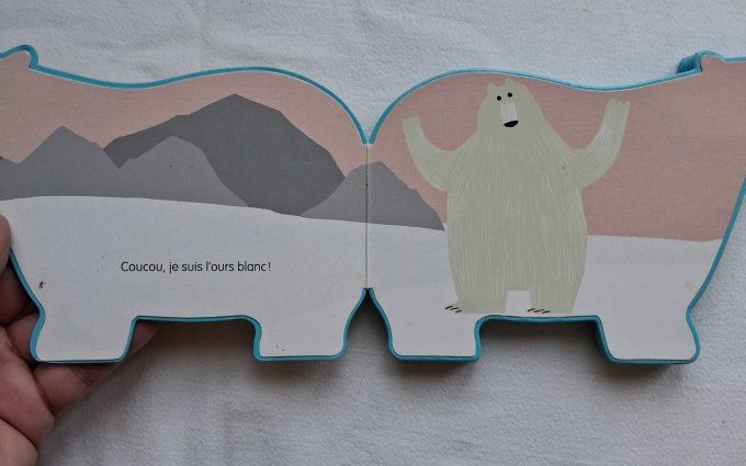 Animaux en forme, l'ours blanc