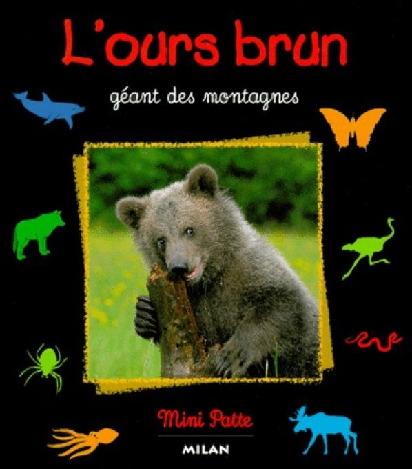 L'ours brun, géant des montagnes