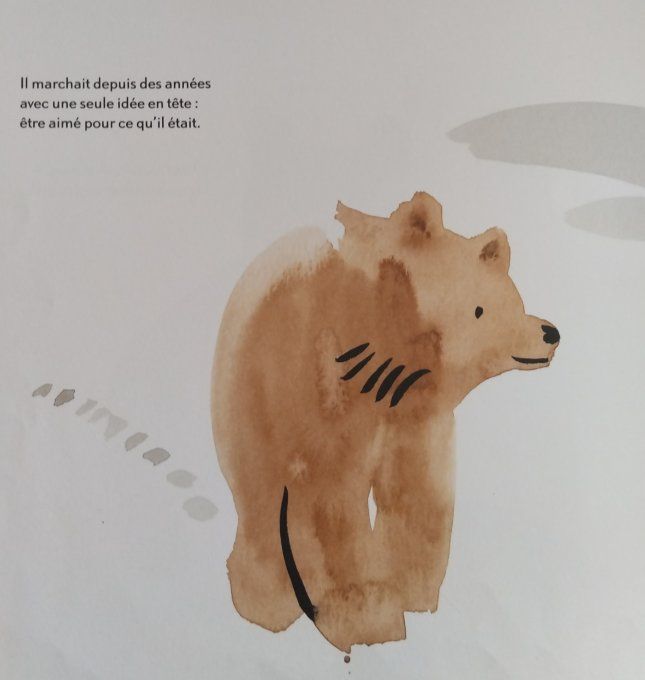 L'ours tendre