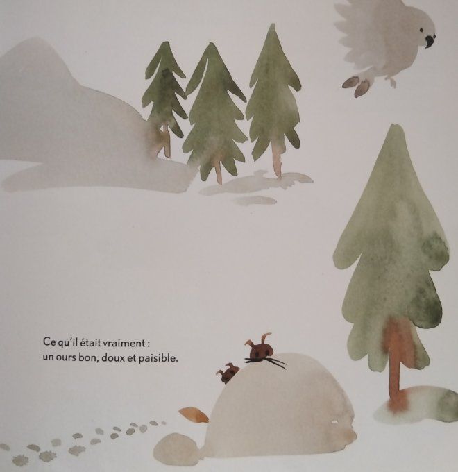 L'ours tendre