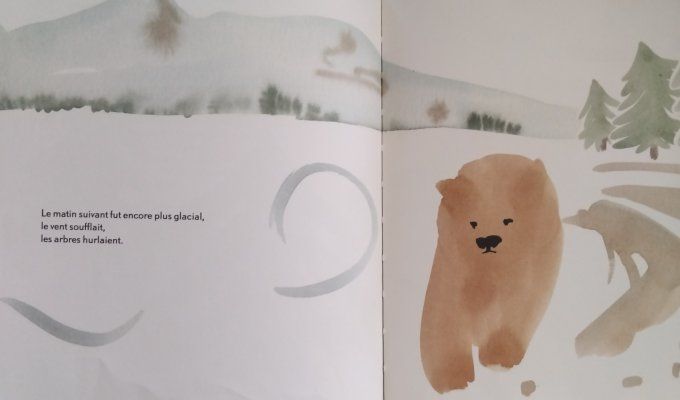 L'ours tendre