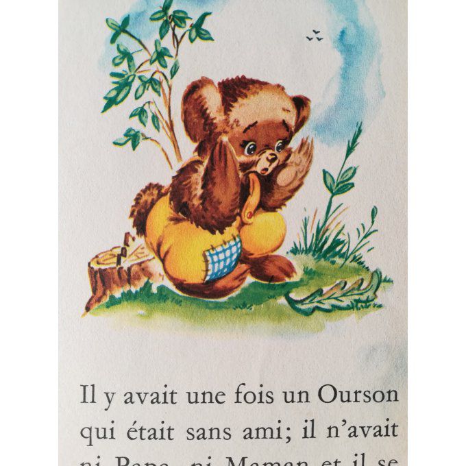 L'ourson qui cherchait des amis