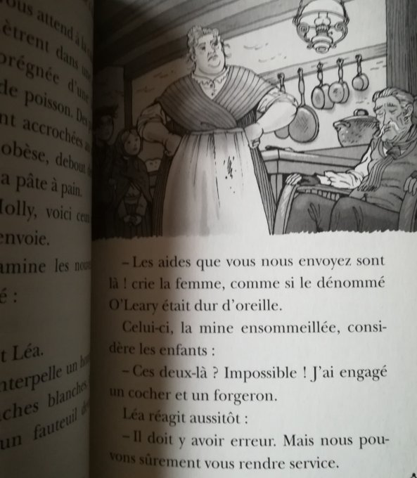 La cabane magique, au pays des Farfadets, tome 38