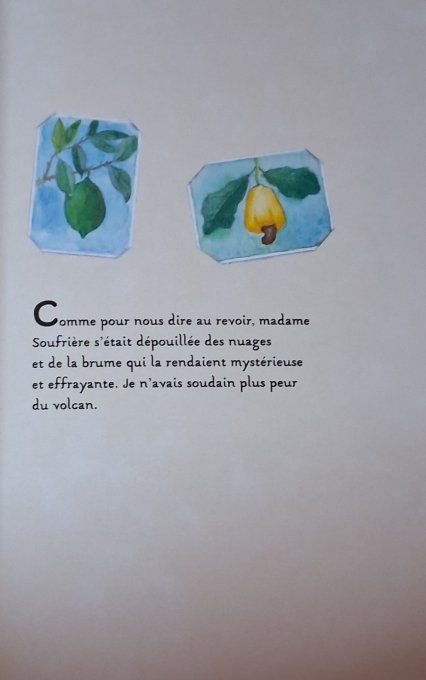 La case aux hibiscus rouges