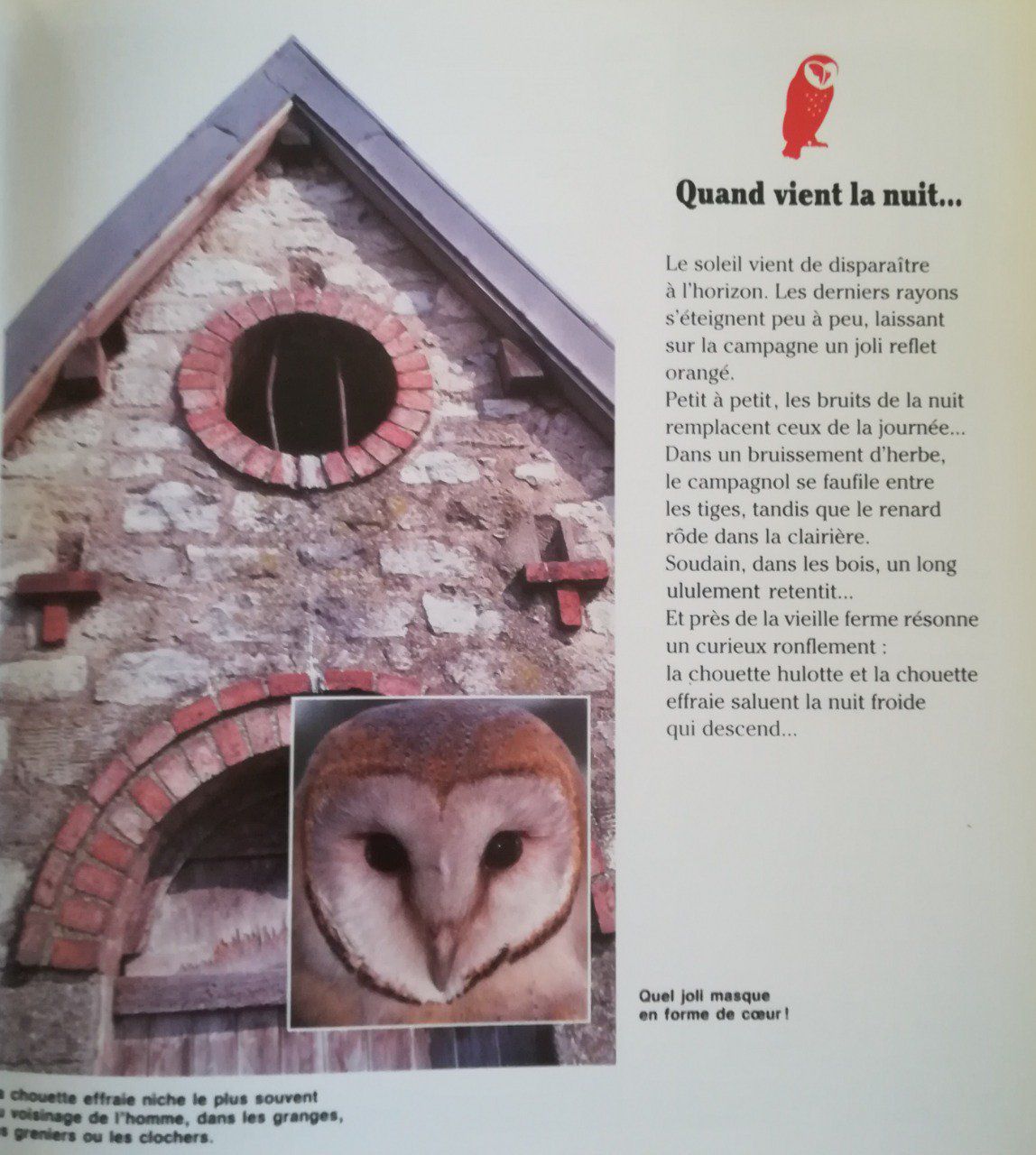 chouette a novel chouette a novel