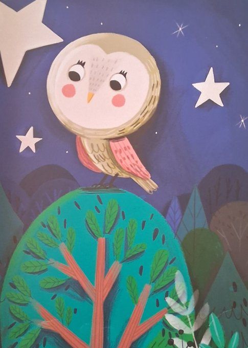 La chouette qui ne voulait pas dormir