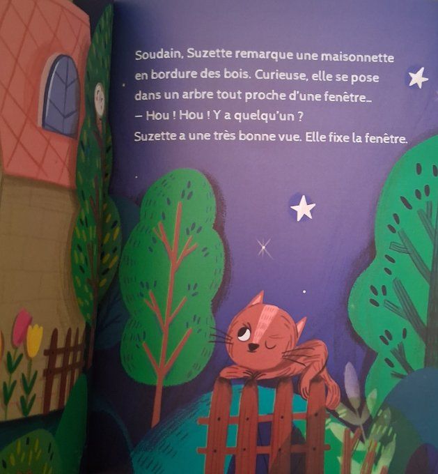 La chouette qui ne voulait pas dormir