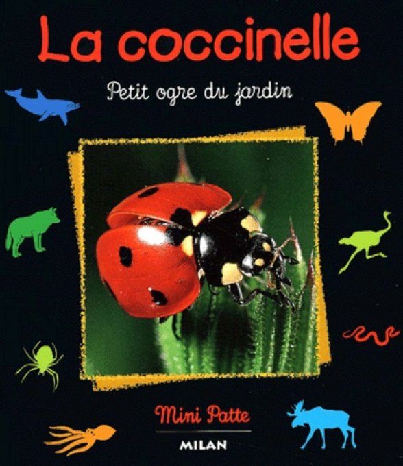 La coccinelle, petit ogre du jardin