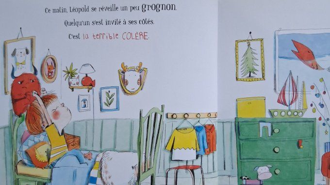 Le livre de mes émotions, la colère