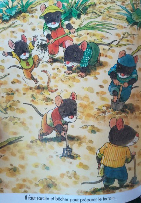 La famille souris et le potiron