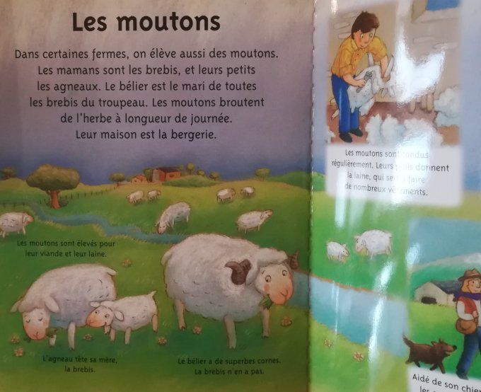 La petite imagerie, les animaux de la ferme