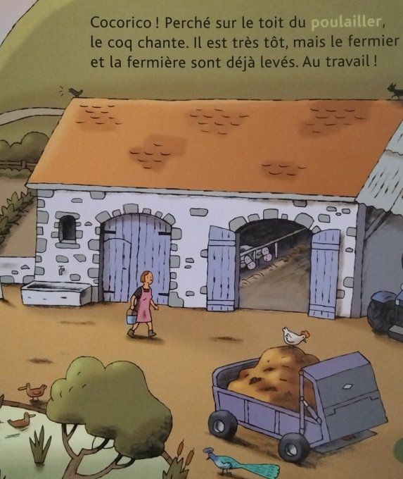 Mes p'tites questions, la ferme