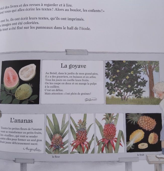 La fête des fruits 