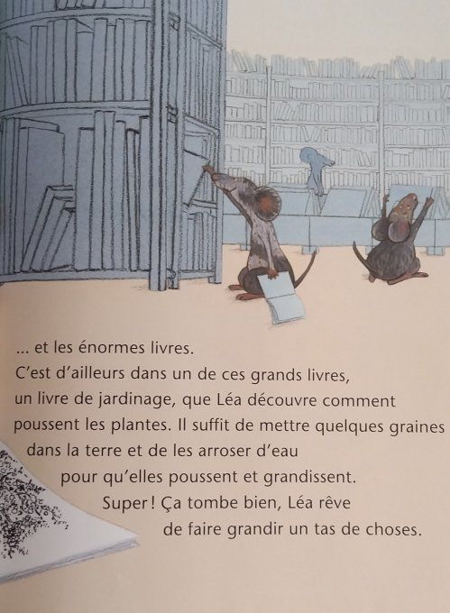 La folie des grandeurs