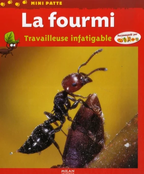 La fourmi travailleuse infatigable