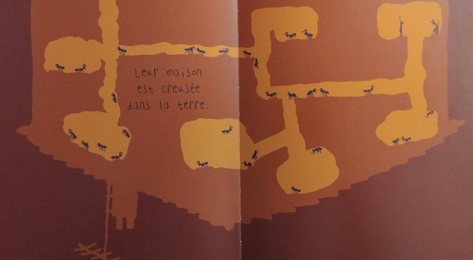 Les sciences naturelles de Tatsu Nagata, la fourmi