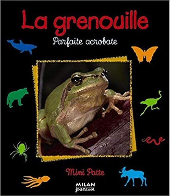 La grenouille, parfaite acrobate