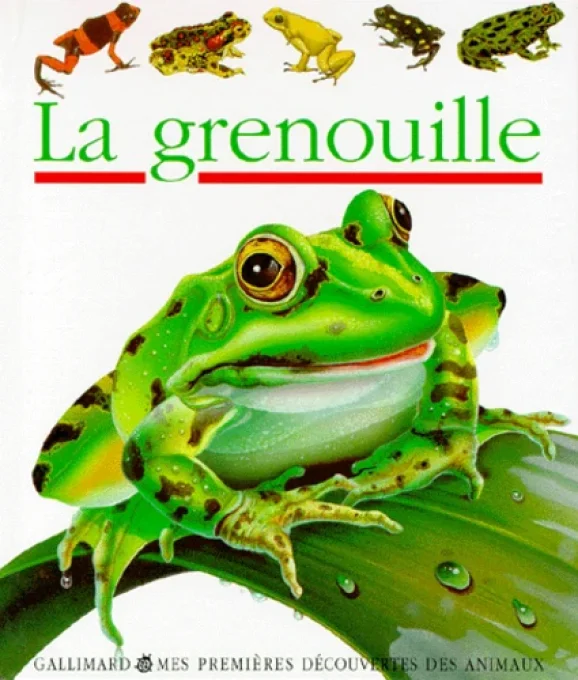 La grenouille