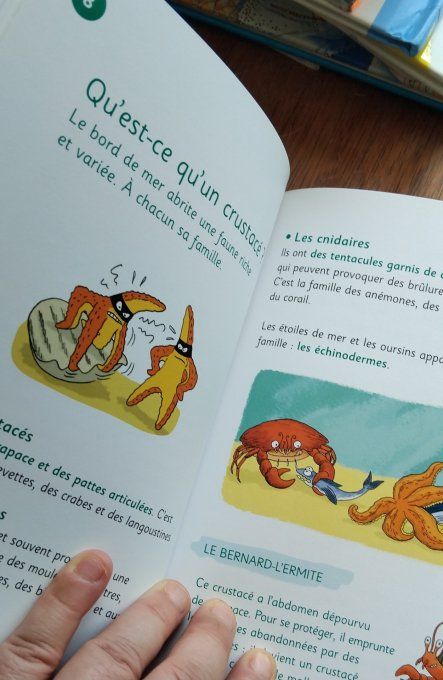 La mer et les océans