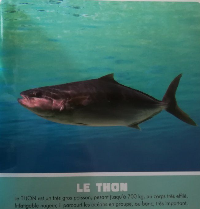 La mer, les fleuves et les lacs, mon premier animalier