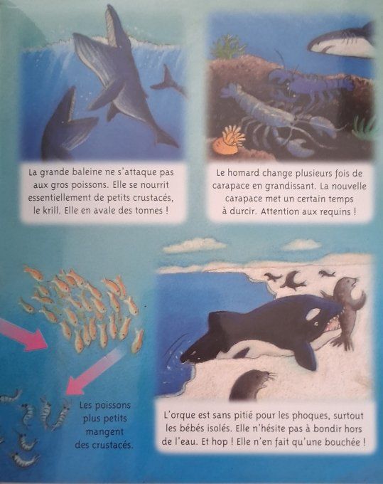 La petite imagerie la mer