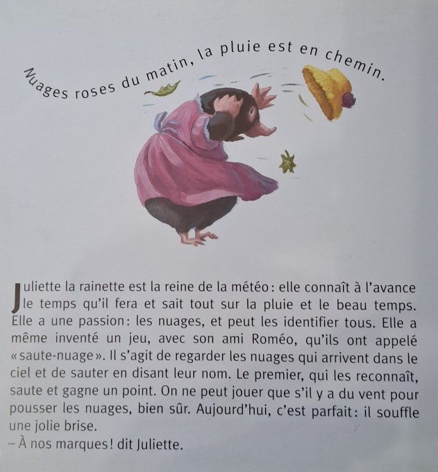 La météo de Juliette la rainette