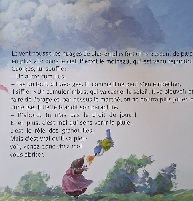 La météo de Juliette la rainette