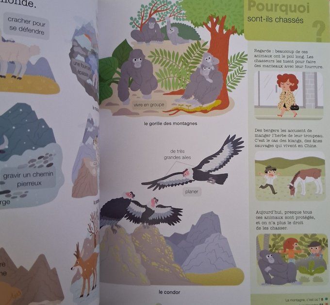 Mes années pourquoi, la montagne