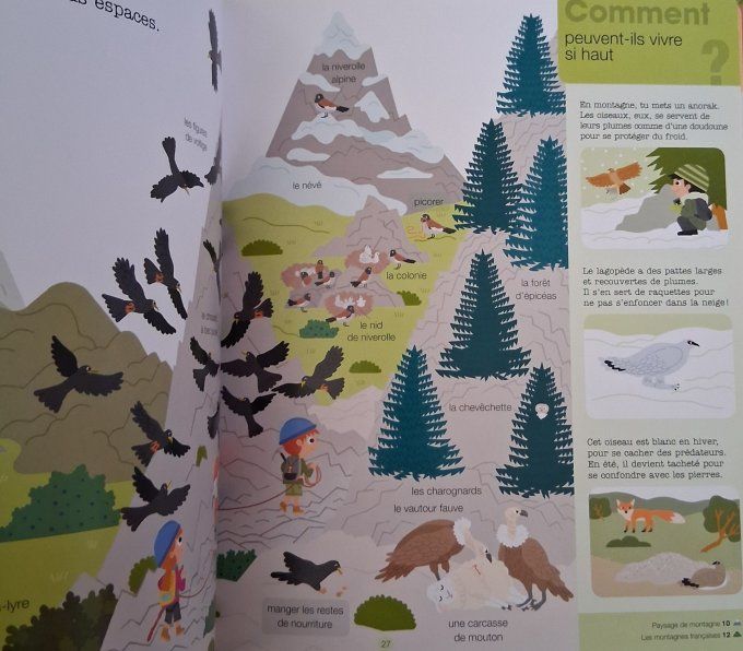 Mes années pourquoi, la montagne