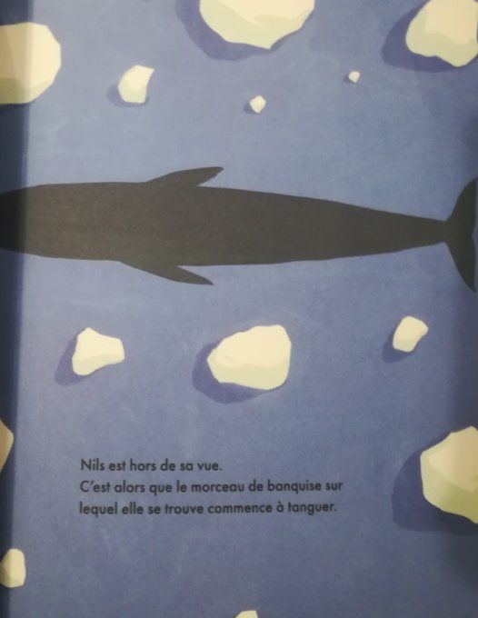 La mystérieuse baleine