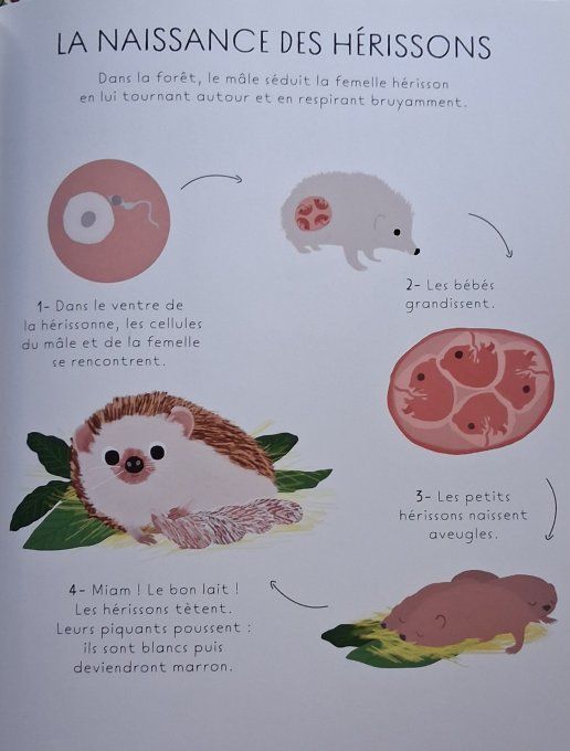 Mon Larousse illustré la nature