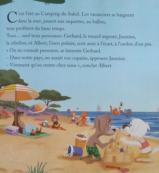 La partie de Beach-Volley 