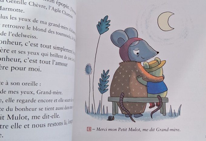 La plante du bonheur CP