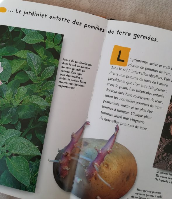 Qui es-tu nature ? La pomme de terre