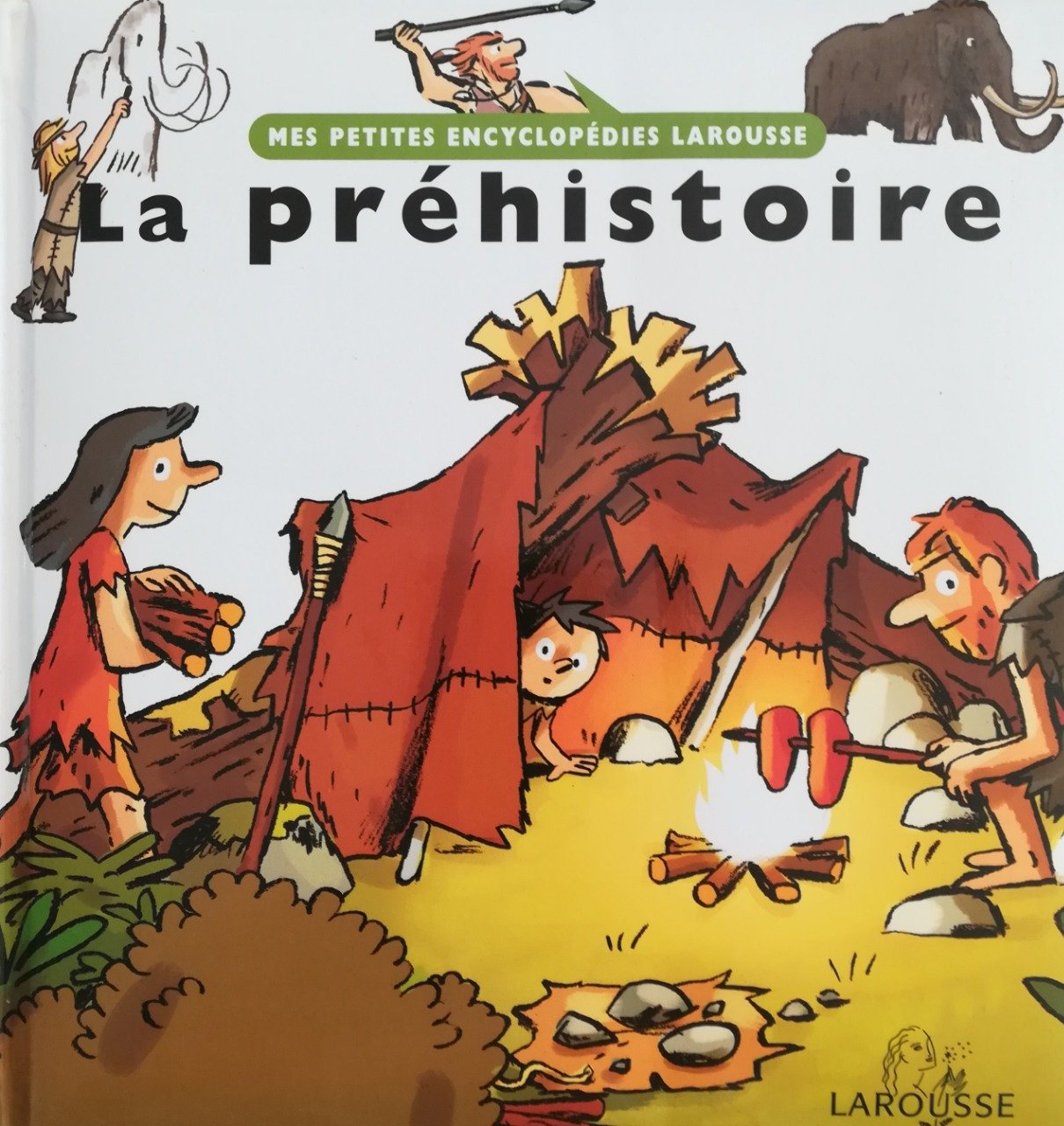 Les animaux de la banquise, mes petites encyclopédies Larousse