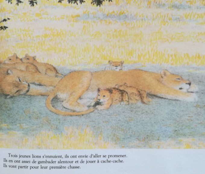 La première chasse