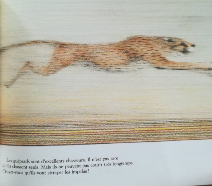La première chasse
