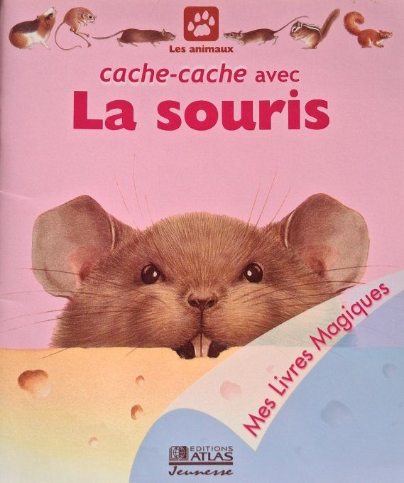 Cache-cache avec la souris