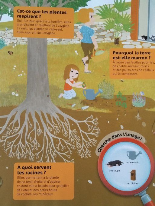 Questions/réponses la terre