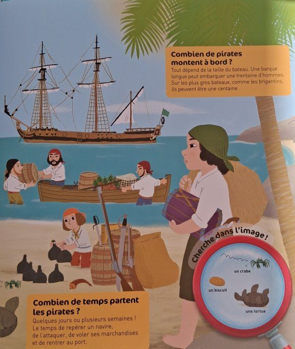 Questions/réponses, la vie des pirates
