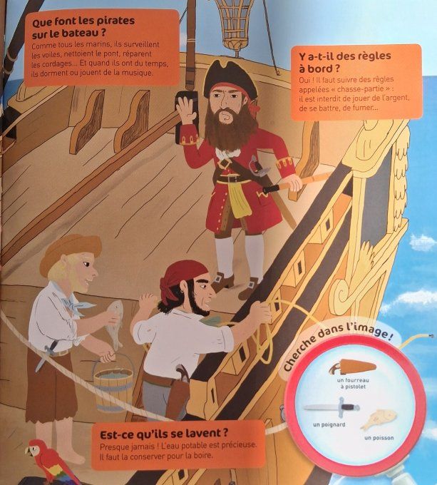 Questions/réponses, la vie des pirates