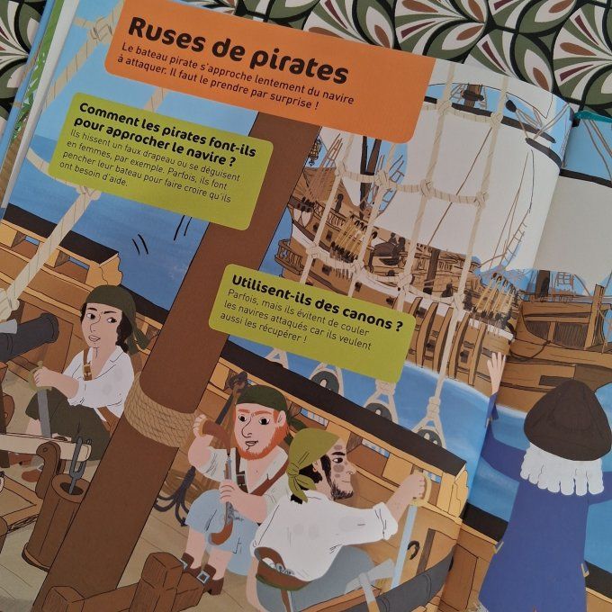 Questions/réponses, la vie des pirates