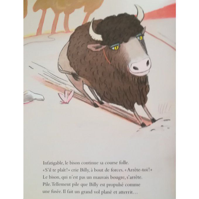 Le bison
