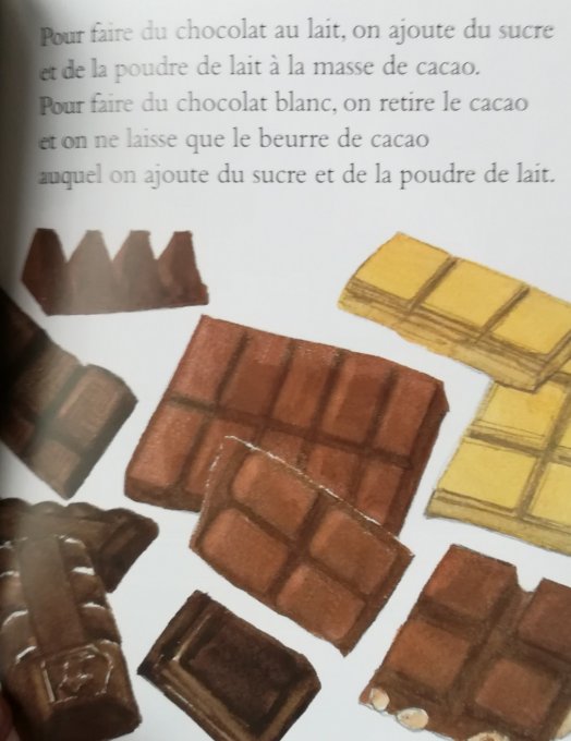 Le bon chocolat