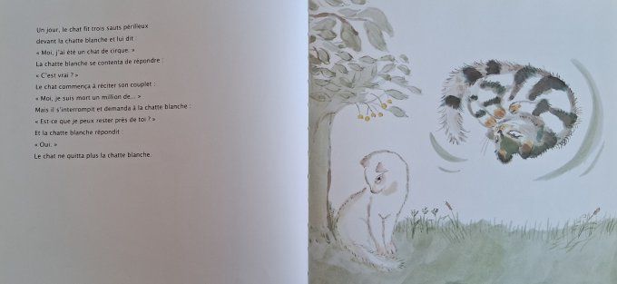 Le chat aux millions de vies