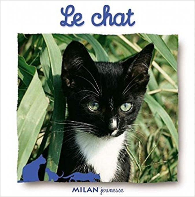 Le chat