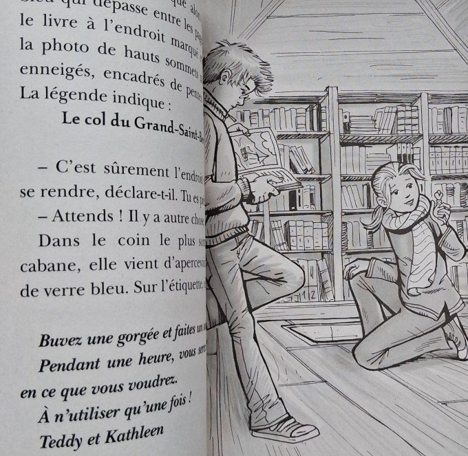 La cabane magique le chien des neiges tome 41
